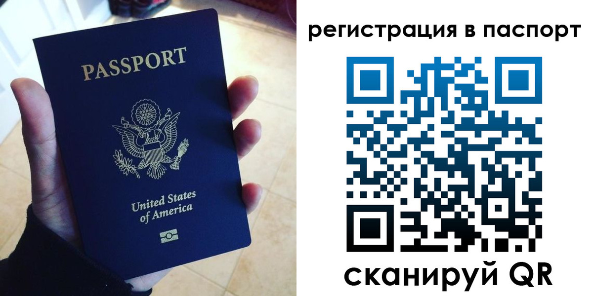 прописка в Ельне