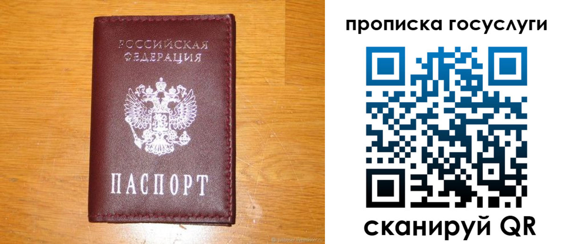 найти адрес прописки в Ельне
