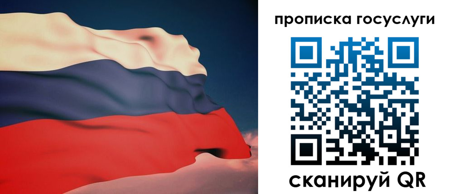 временная регистрация в Ельне